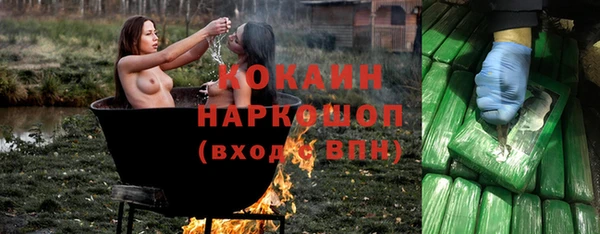 дживик Верея